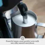 Sage-the-barista-pro-espresso-steel-4